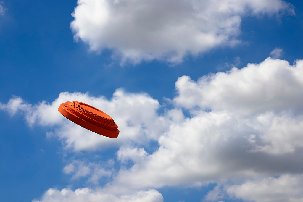 A clay pigeon in flight